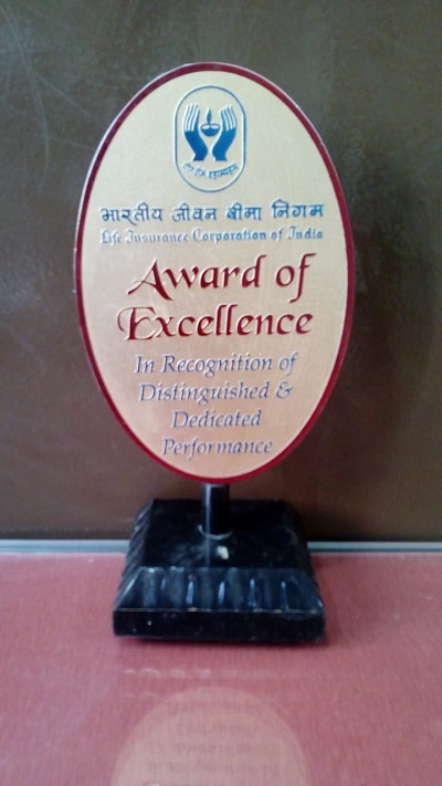 Award of Excellence